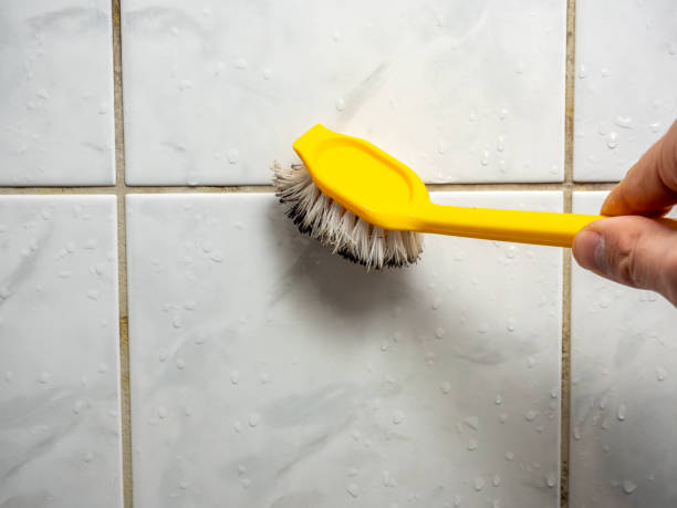 Best Best Mold Removal Companies  in Thornwood, NY