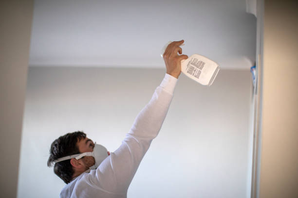 Best Emergency Mold Removal  in Thornwood, NY