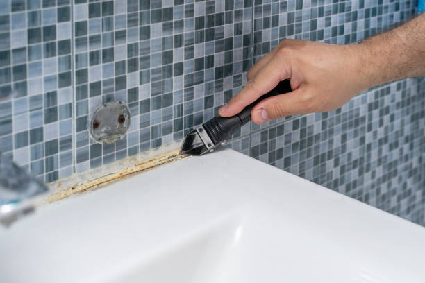 Best Residential Mold Removal  in Thornwood, NY