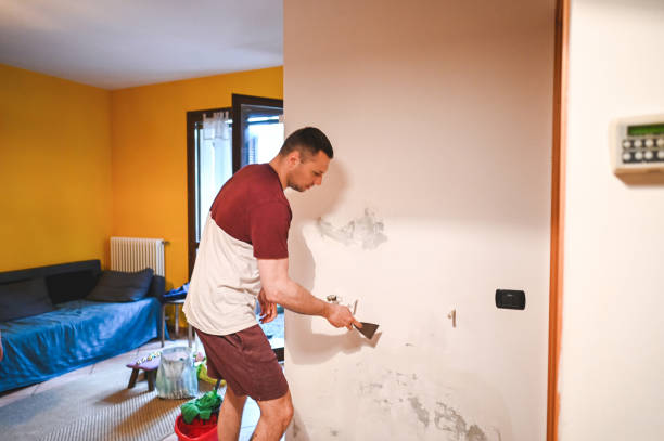 Best Mold Remediation  in Thornwood, NY